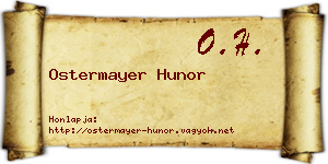 Ostermayer Hunor névjegykártya